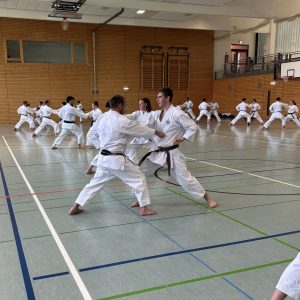 Prenzlauer Karate Weekend 2025